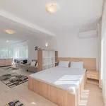 Casa Zorilor Cluj-Napoca