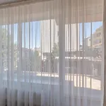 Casa Zorilor Lejlighed