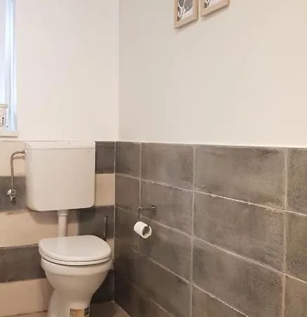 Casa Zorilor Apartmán