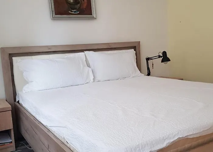 Casa Zorilor Apartmán Kluž