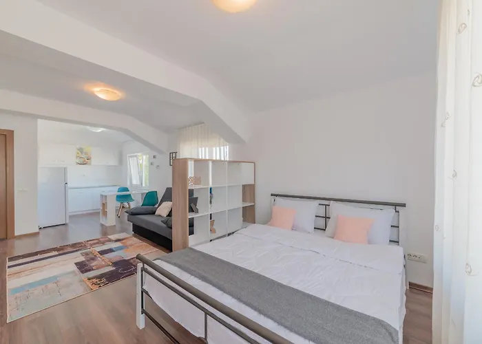 Apartmán Casa Zorilor